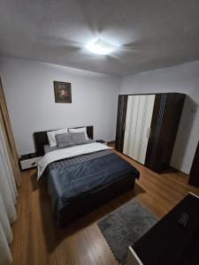 ein Schlafzimmer mit einem großen Bett in einem Zimmer in der Unterkunft Gheorghe Lazar Nest in Timişoara