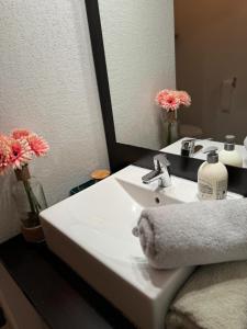 a bathroom with a white sink and a mirror at Secrète loft in Aucamville