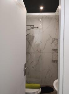 a bathroom with a shower and a toilet at Petit Apartment - City Center - GORGOPOTAMOU 1 in Veria