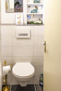 a bathroom with a white toilet in a room at FerienSchlösschen Zell in Zell an der Mosel