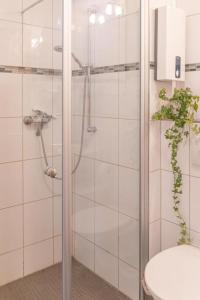 eine Dusche mit Glastür im Bad in der Unterkunft Ferienwohnung 3 Am Petersberg in Neef