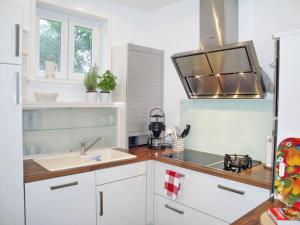 a kitchen with a sink and a refrigerator at Lohdiele in Kappeln
