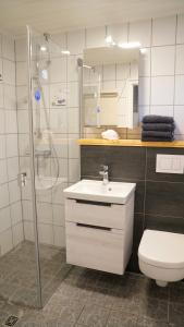 y baño con lavabo, ducha y aseo. en Zum Kuhfleck en Damp