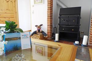 a table with a fireplace in a living room at Ferienhaus Rikate in Kappeln