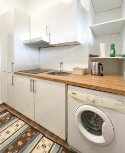 uma cozinha com uma máquina de lavar roupa e um lavatório em Wohnung alleinige Nutzung 40m² 4 Schlafplätze Wiesbaden em Wiesbaden
