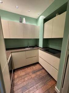 トリノにあるELEGANT HOUSE, in THE CENTERの白いキャビネットと緑の壁のキッチン