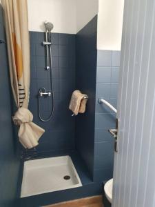 La salle de bains bleue est pourvue d'une douche et de toilettes. dans l'établissement Studio équipé et meublé St Cyprien, à Saint-Cyprien