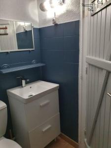 La salle de bains bleue est pourvue d'un lavabo et de toilettes. dans l'établissement Studio équipé et meublé St Cyprien, à Saint-Cyprien