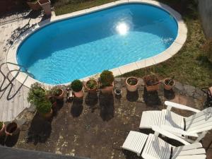 an overhead view of a swimming pool with potted plants at Springiersbacher Hof in Ediger-Eller