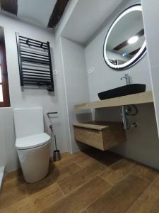 ein Badezimmer mit einem WC, einem Waschbecken und einem Spiegel in der Unterkunft Apartamento centro Benasque in Benasque