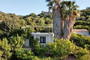 a white house with a palm tree and bushes at Dimitris family house in Kerames