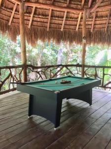 a green pool table sitting on a deck at Jolie Jungle Eco Hotel in Puerto Morelos