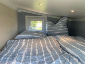 a bedroom with two beds and a window at Tiny House Moritz in Fedderwardersiel