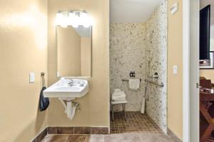 a bathroom with a sink and a mirror at Marin Suites Hotel in Corte Madera