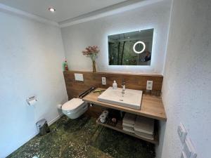a bathroom with a sink and a toilet and a mirror at Ammerland 2 in Bad Zwischenahn