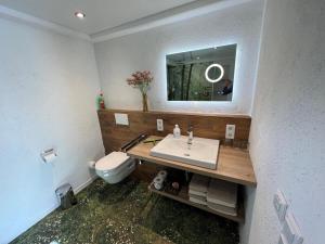 a bathroom with a sink and a toilet and a mirror at Ammerland 2 in Bad Zwischenahn +15 photos