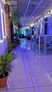 Fotografie z fotogalerie ubytování Hotel Kamelot Parque Central v destinaci Quetzaltenango