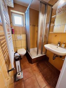 a bathroom with a shower and a toilet and a sink at Neptun in Scharbeutz