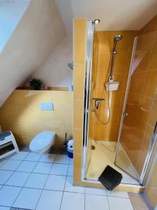 een badkamer met een douche en een toilet bij Nixe in Scharbeutz