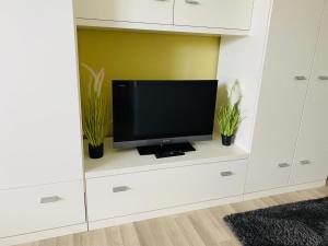 - une télévision assise sur un centre de divertissement blanc avec des plantes dans l'établissement Baltic Nr. 21, à Scharbeutz