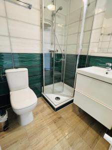 a bathroom with a shower and a toilet and a sink at Witthus Nr. 16 in Scharbeutz