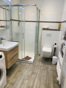 a bathroom with a shower and a toilet and a sink at Meeresbrise in Scharbeutz