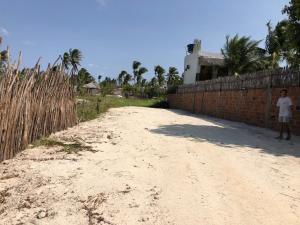 CruzにあるVilla Mendonzaのレンガの壁の隣の未舗装道路に立っている男性