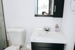 La salle de bains est pourvue de toilettes, d'un lavabo et d'un miroir. dans l'établissement Casita Style Apt 3 w/ Sofa Bed & Patio @ Santurce, à San Juan