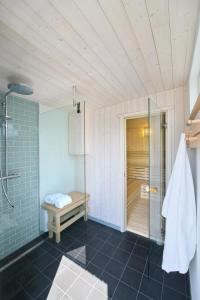 uma casa de banho com uma cabina de duche ao nível do chão e uma cabina de duche em vidro. em Ferienwohnung Meta em Waabs