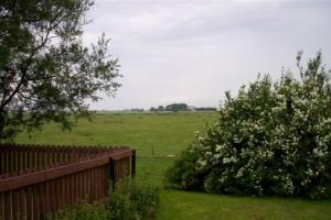 Ein Zaun und Bäume auf einem Feld mit einem Feld in der Unterkunft Wohnen unter Reet in Galmsbüll