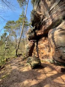 a rock on a dirt trail in a forest at NEU! Ferienwohnung Milo Pfälzer Wald in Rodalben
