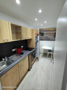 une cuisine avec un évier et un plan de travail dans l'établissement Ferienwohnung Wildgans 2 Dollart Ostfriesland, à Bunde