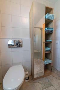 a bathroom with a toilet and a shower at NEU! Ferienwohnung Am Mühlberg in Selters