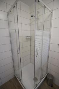 um chuveiro com uma porta de vidro na casa de banho em Liebevoll eingerichtete FeWo Alsfeld 2 em Alsfeld