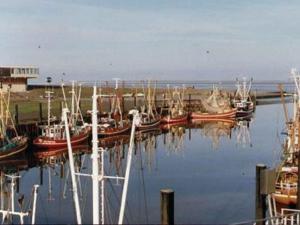 Φυσικό τοπίο κοντά σε αυτό το διαμέρισμα +1 φωτογραφίες