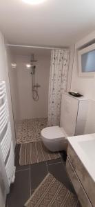 a small bathroom with a toilet and a shower at NEU Ferienwohnung MONTE in Walsrode in Walsrode
