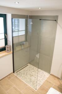 y baño con ducha y puerta de cristal. en NEU Auszeit am Küppel Sauna und Badeteich, en Gersfeld