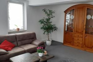 een woonkamer met een bank en een potplant bij FeWo Pfaffen-Schwabenheim in Pfaffen-Schwabenheim