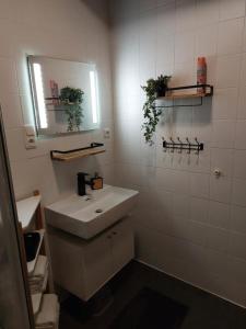 a white bathroom with a sink and a mirror at NEU! Hennings Ferienhof in Neßmeraltendeich +17 photos
