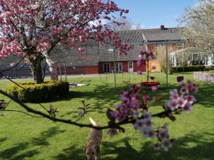 a dog standing next to a tree with pink flowers at NEU! Hennings Ferienhof in Neßmeraltendeich