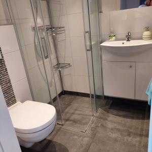 y baño con aseo y lavamanos. en NEU! Ferienhaus Zijper 24, en Burgerbrug