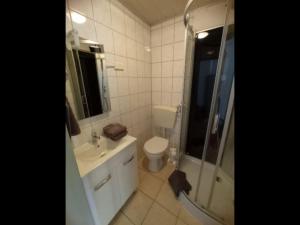 ein Bad mit einem WC, einer Dusche und einem Waschbecken in der Unterkunft NEU FeWo Oels Großalmerode in Großalmerode