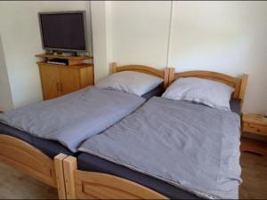 2 Einzelbetten in einem Zimmer mit einem TV in der Unterkunft NEU FeWo Oels Großalmerode in Großalmerode