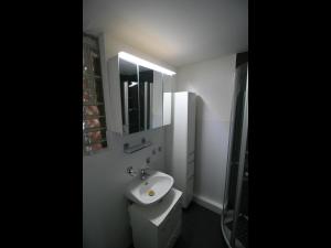 La salle de bains blanche est pourvue d'un lavabo et d'un miroir. dans l'établissement NEU! Ferienwohnung im Herzen der Pfalz, à Kaiserslautern