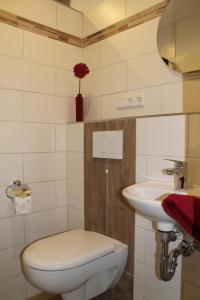 ein Bad mit einem WC und einem Waschbecken in der Unterkunft NEU! Ferienhaus Sonnenschein am Badesee in Aurich
