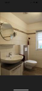 ein Badezimmer mit einem Waschbecken, einem WC und einem Spiegel in der Unterkunft NEU! Ferienhaus Sonnenschein am Badesee in Aurich