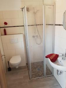 Ένα μπάνιο στο Ferienhaus Seeschwalbe 2