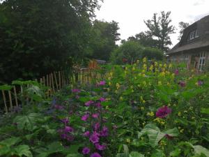 a garden full of flowers in front of a house at NEU! Campingfass Milchschafhof in Bremervörde