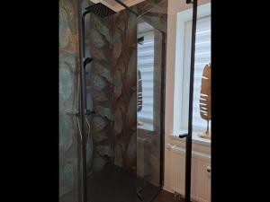 a bathroom with a shower with a glass door at Zur alten Gurkeneinlegerei in Lübbenau +4 photos