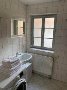 een badkamer met een wastafel en een wasmachine bij NEU! FeWo History Aschersleben in Aschersleben